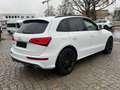 Audi SQ5 3.0 TDI competition quattro*B&O*Pano*Kam*ACC Weiß - thumbnail 6
