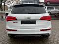 Audi SQ5 3.0 TDI competition quattro*B&O*Pano*Kam*ACC Weiß - thumbnail 5