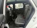 Audi SQ5 3.0 TDI competition quattro*B&O*Pano*Kam*ACC Weiß - thumbnail 11