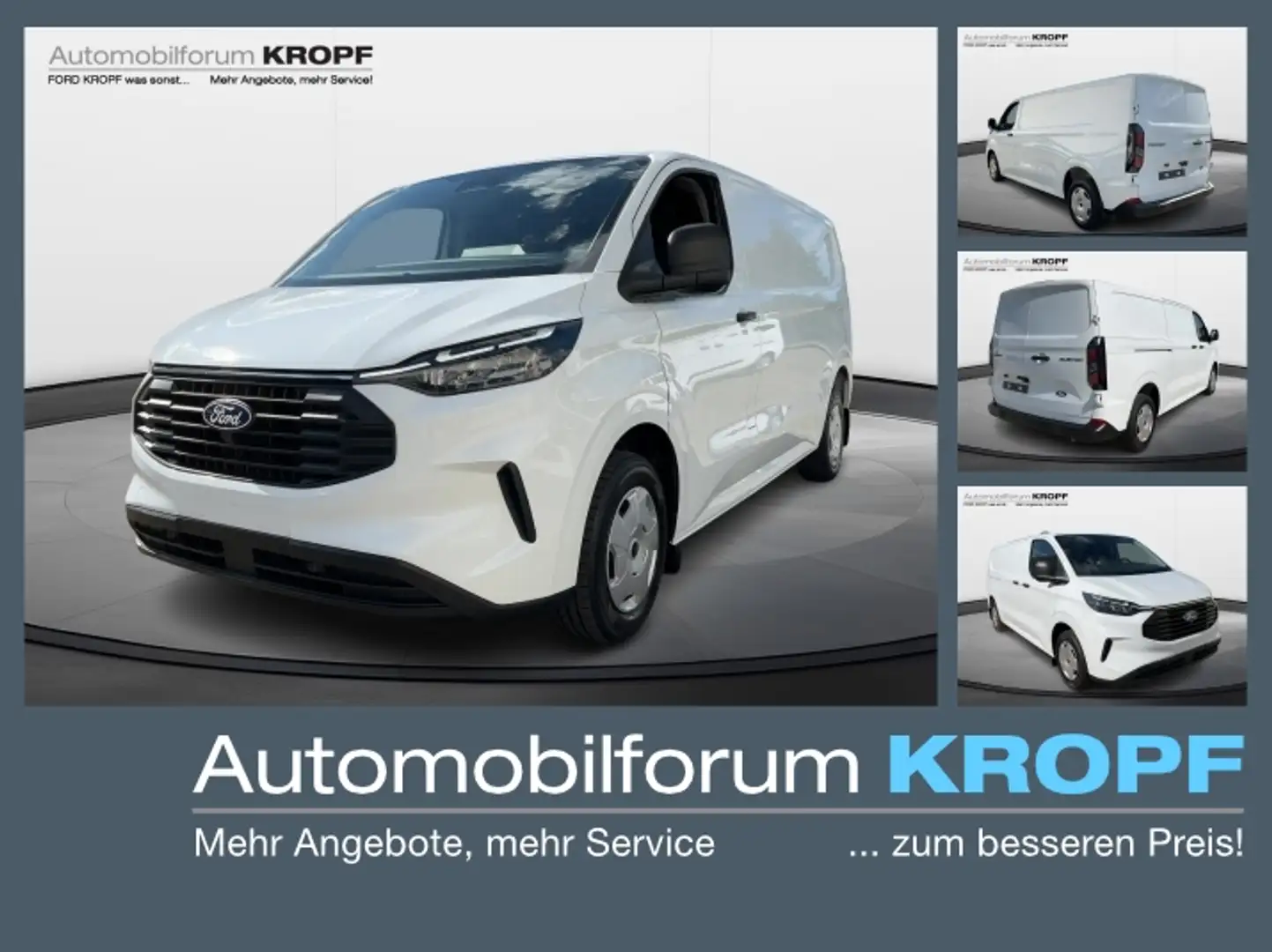 Ford Transit Custom 2.0 EcoB. 320 L2 Trend LED Holzvkl Blanc - 1