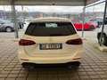 Mercedes-Benz B 200 B 200 SPORT PLUS PRESTIGE PACK PROMO-PRONTA CONSEG Bianco - thumbnail 5