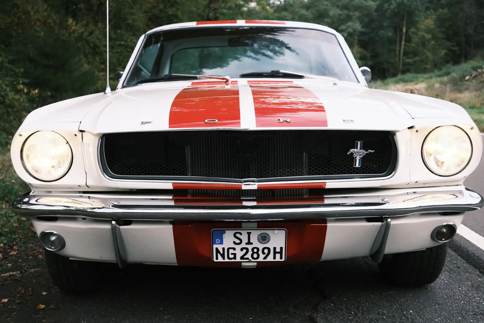 Ford Mustang Mustang 1965 - technisch erneuert Weiß - 2