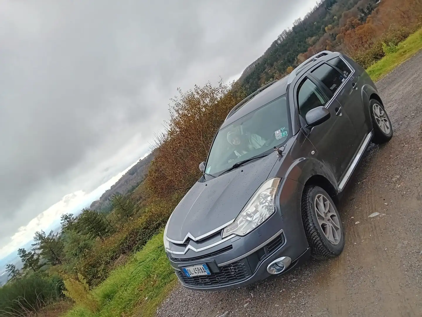 Citroen C-Crosser C-Crosser 2.2 hdi Fap Gris - 1