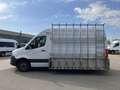 Mercedes-Benz Sprinter 316CDI Hochd. Blanco - thumbnail 8