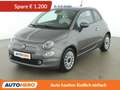 Fiat 500 1.0 Mild-Hybrid Lounge Grau - thumbnail 1