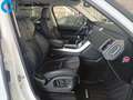 Land Rover Range Rover Sport 3.0TDV6 SE Aut. - thumbnail 19