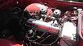 Triumph TR4 Rot - thumbnail 12