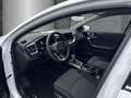 Kia Ceed SW / cee'd SW Ultimate Edition 1.5T Mild-Hybrid DCT Style-Paket Blanc - thumbnail 7