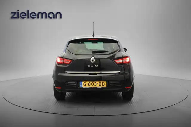 Renault Clio view 18
