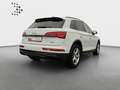 Audi Q5 55 TFSI e quattro S line*Navi*LED*Alu*B&O*PDC Weiß - thumbnail 3