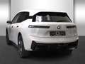 BMW iX xDrive45 M Sportpaket Innovationsp. AHK Grau - thumbnail 3