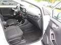 Ford Puma Titanium 1,0 EcoBoost Mild Hybrid Wit - thumbnail 25