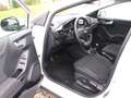 Ford Puma Titanium 1,0 EcoBoost Mild Hybrid Bianco - thumbnail 3
