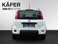 Fiat Panda 4x2 FireFly Hybrid 70 City Life Blanc - thumbnail 7