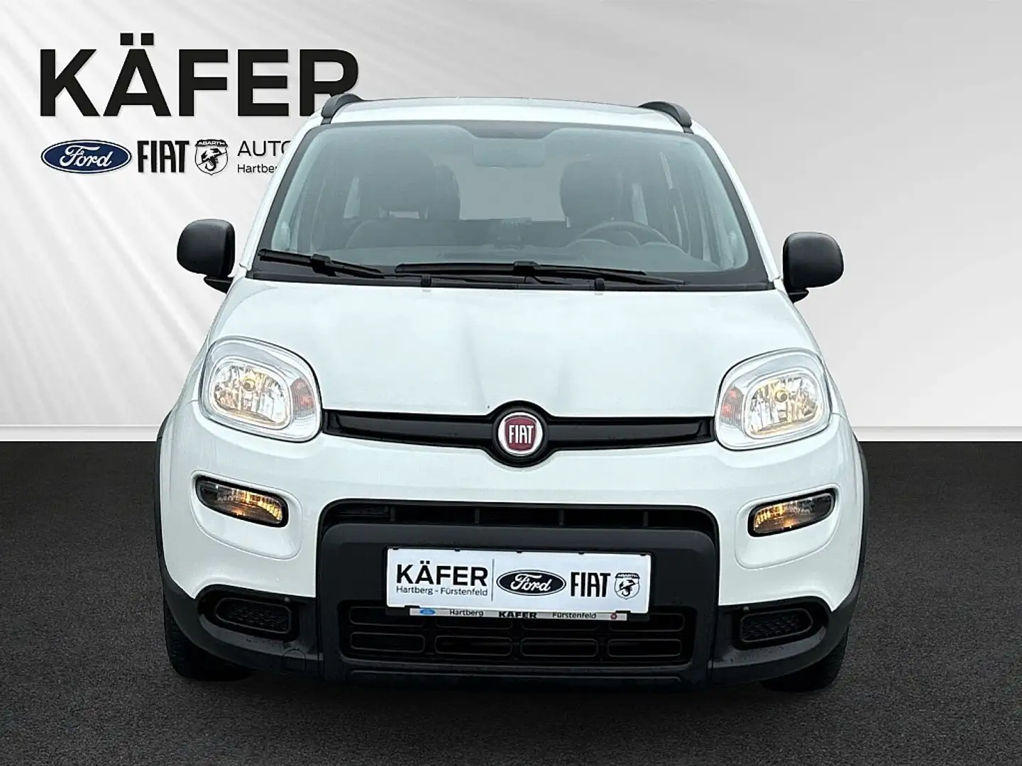 Fiat Panda 4x2 FireFly Hybrid 70 City Life Blanc - 2