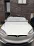 Tesla Model X Model X 75D Allradantrieb Zilver - thumbnail 1
