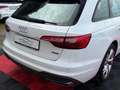 Audi A4 Avant 45 TFSI*QUATTRO*HEAD UP*ACC Weiß - thumbnail 17