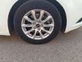 Ford Mondeo 1.6TDCI Trend 115 Blanco - thumbnail 24