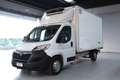 Opel Movano 35 2.2 BlueHDi - DOPPIA TEMPERAT-CELLA- FRIGO Bianco - thumbnail 1