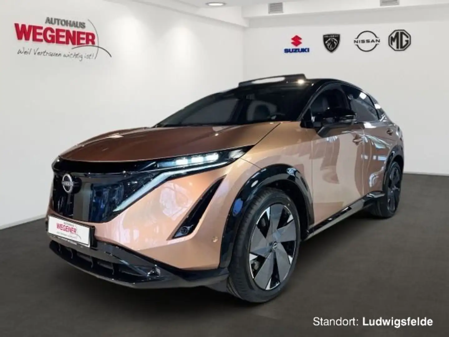 Nissan Ariya ARIYA (2023) 87 kWh Evolve Pack 20' Золотий - 1