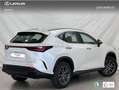 Lexus NX 300 PREMIUM Blanco - thumbnail 3