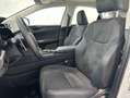 Lexus NX 300 PREMIUM Blanco - thumbnail 14