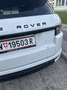 Rover Sonstige Range Rover Evoque Weiß - thumbnail 14