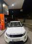 Rover Sonstige Range Rover Evoque Weiß - thumbnail 11