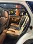 Rover Sonstige Range Rover Evoque Weiß - thumbnail 6