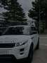 Rover Sonstige Range Rover Evoque Weiß - thumbnail 15