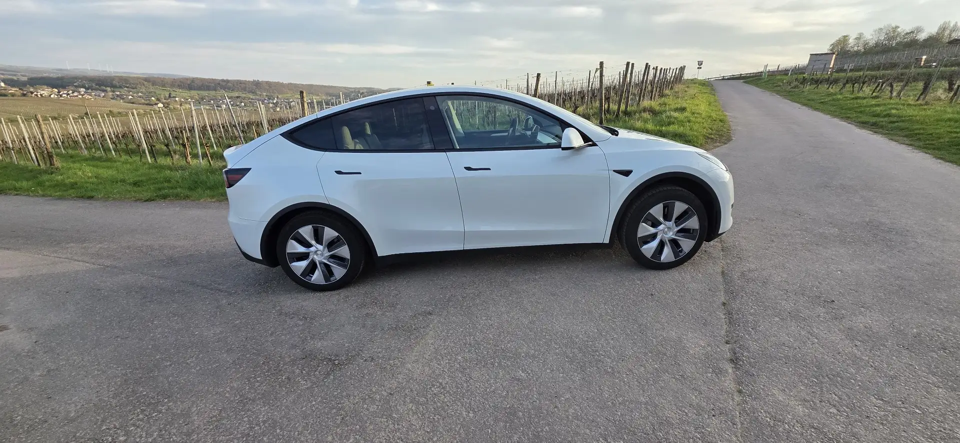 Tesla Model Y RWD - 2