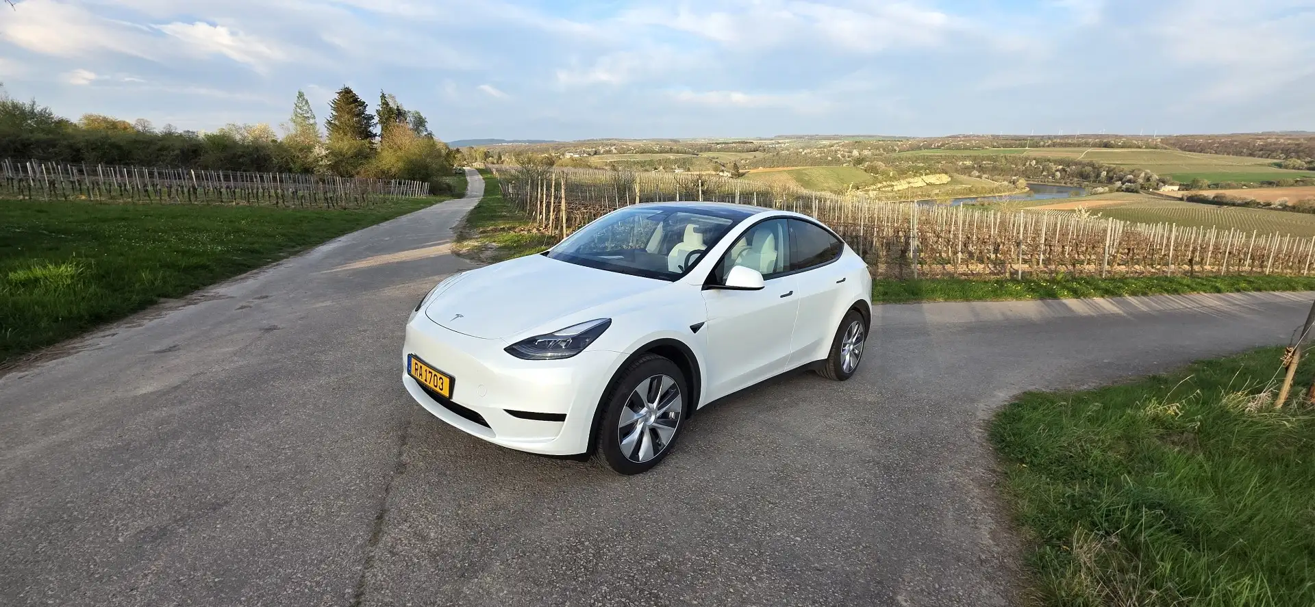 Tesla Model Y RWD - 1