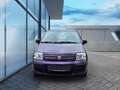 Fiat Panda 1.2 8V Dynamic (Tüv und Service Neu) Rot - thumbnail 8