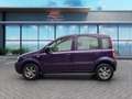 Fiat Panda 1.2 8V Dynamic (Tüv und Service Neu) Rot - thumbnail 6