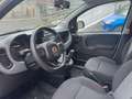 Fiat Panda Panda III 2020 1.0 hybrid City Cross s Bianco - thumbnail 5