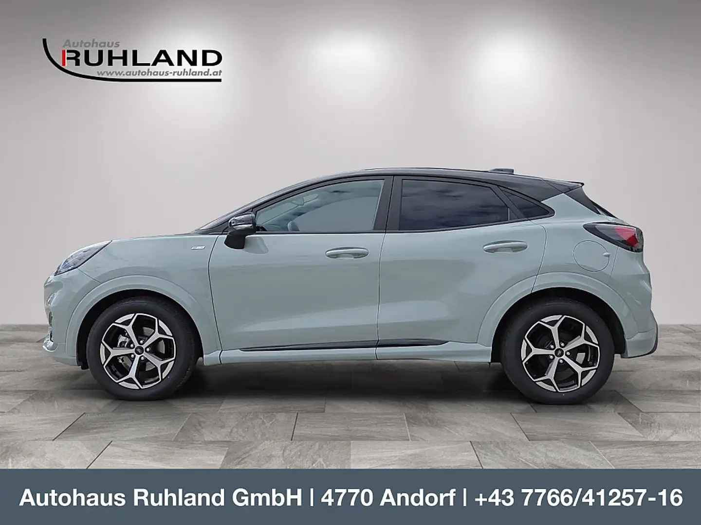 Ford Puma 1,0 EcoBoost Hybrid ST-Line Gris - 2