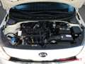 Kia Rio Dream Team Apple CarPlay Android Auto Klimaautomat Weiß - thumbnail 14