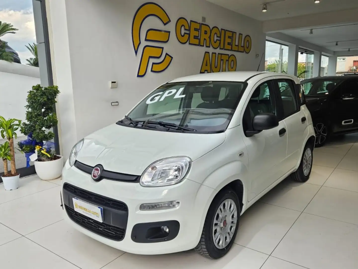 Fiat Panda 1.2 EasyPower tua da €119,00 Bianco - 2