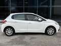 Peugeot 208 1.6 DIESEL 75 CV ADATTA NEOPATENTATI Bianco - thumbnail 8