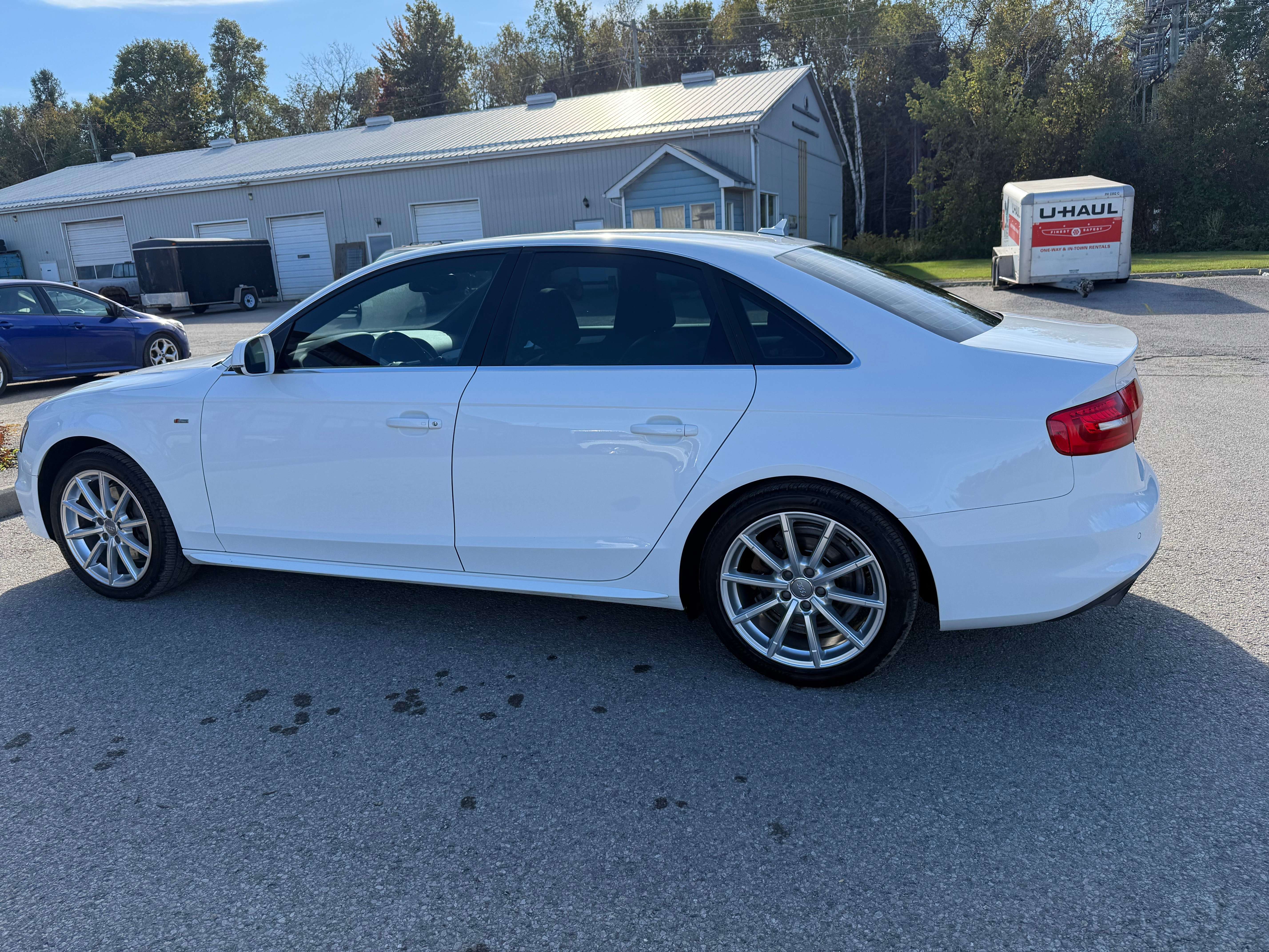 2015 Audi A4 4dr Sdn Auto Progressiv plus quattro alt 2