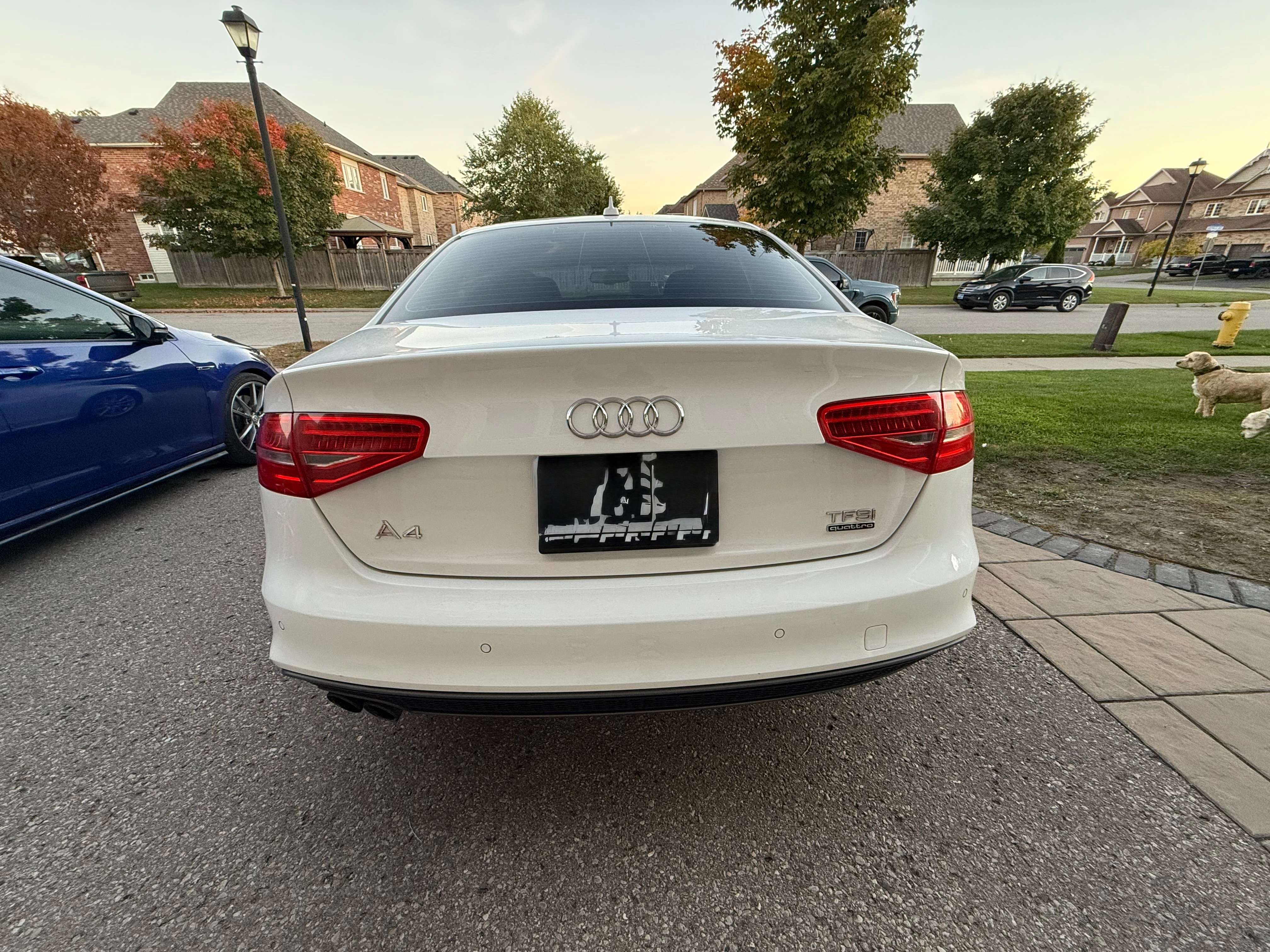 2015 Audi A4 4dr Sdn Auto Progressiv plus quattro thumb 6