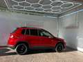 Volkswagen Tiguan 2.0TDI Advance Rojo - thumbnail 12