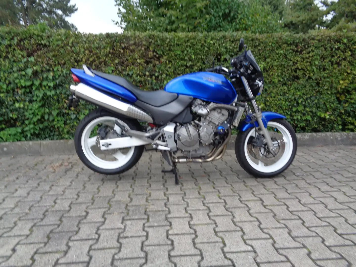 Honda Hornet CB600F PC34 Blau - 1
