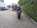 Honda Hornet CB600F PC34 Blau - thumbnail 9