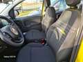 Fiat Panda MY24 1.0 Klima PDC Citypaket Gelb - thumbnail 6