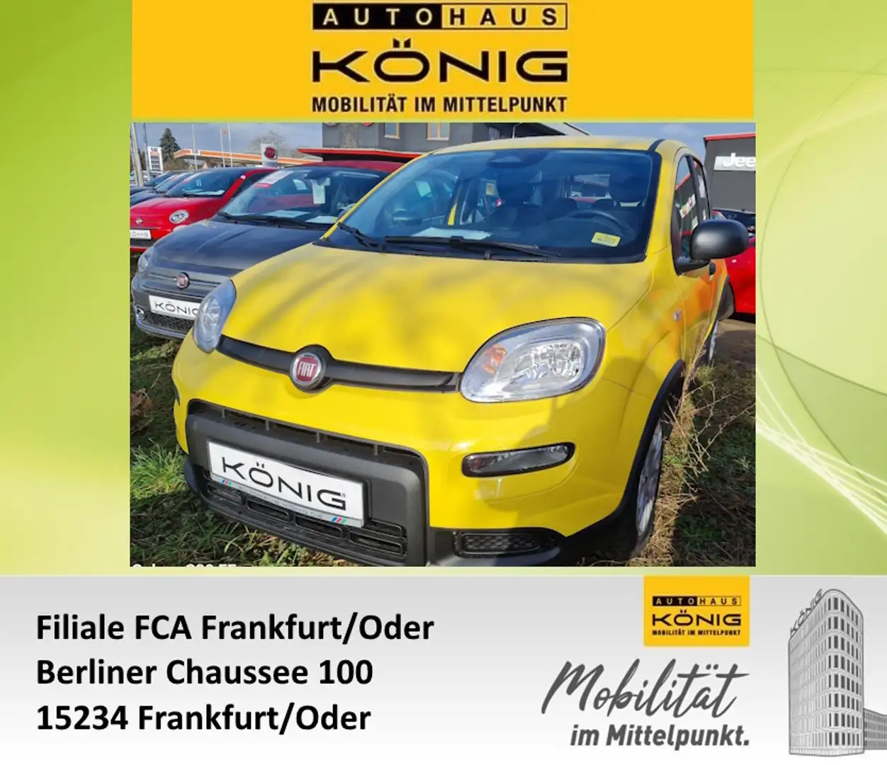 Fiat Panda MY24 1.0 Klima PDC Citypaket Gelb - 1