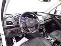Subaru Forester V 2022 - Forester 2.0i e-boxer Premium lineartroni Bianco - thumbnail 12
