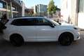 Honda CR-V 2,0 i-MMD e:PHEV Advance Tech Aut. Weiß - thumbnail 5