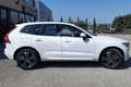 Volvo XC60 XC60 D4 Geartronic Inscription Bianco - thumbnail 4