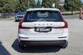 Volvo XC60 XC60 D4 Geartronic Inscription Bianco - thumbnail 6